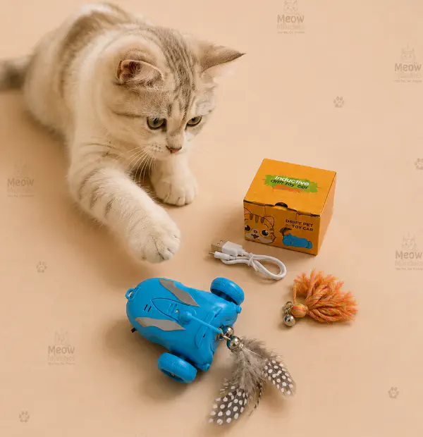 IMG 9164 1787045111541 mvth88